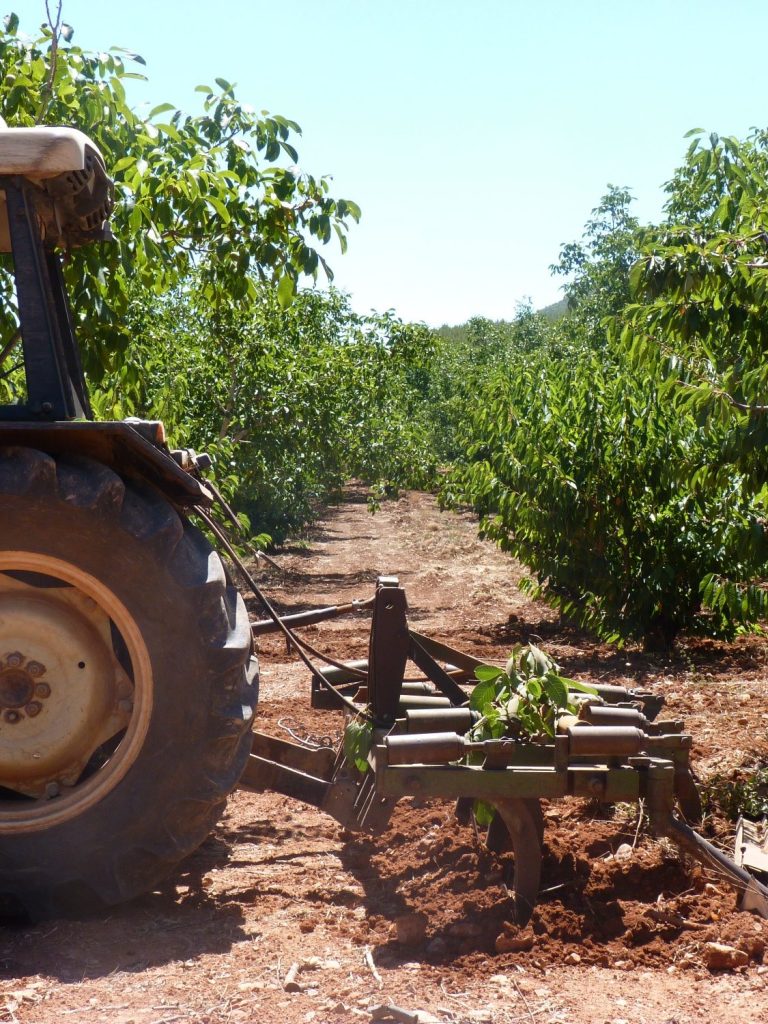 nogales Finca Magrero